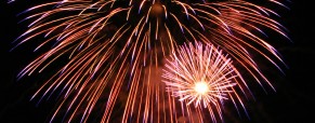 Fireworks & Fido Fireworks & Fido