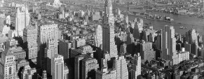 State Bar Animal Law Committees, and current issues in New York