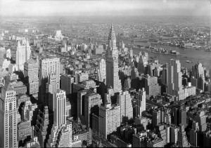 State Bar Animal Law Committees, and current issues in New York State Bar Animal Law Committees, and current issues in New York