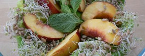 Stellar Vegan Salad with Roasted Nectarines Stellar Vegan Salad with Roasted Nectarines