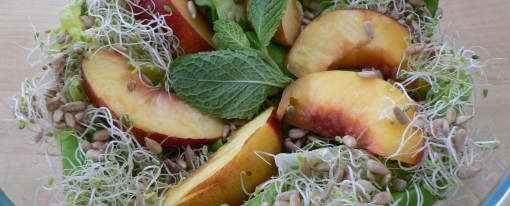 Stellar Vegan Salad with Roasted Nectarines Stellar Vegan Salad with Roasted Nectarines