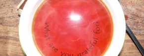 I am Grateful For… I am Grateful For…