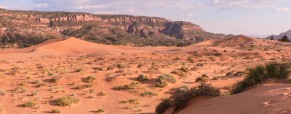 Coral Pink Sand Dunes, Utah, 2012