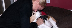 Beagle Freedom Project Beagle Freedom Project