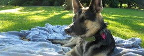 Teagan’s Story: A Happy Beginning Teagan’s Story: A Happy Beginning