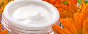 Vegan Beauty Market online Vegan Beauty Market online