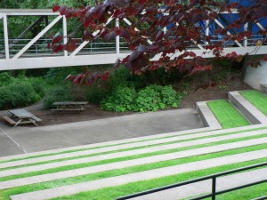 amphitheater