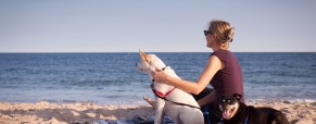Dog Days of Summer in the Hamptons Dog Days of Summer in the Hamptons