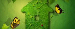 Food for Thought: What’s “Sustainable”?