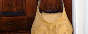 Snazzy Handbags & Wallets at Herbivore