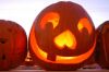 Pumpkin (salsa!) Season Pumpkin (salsa!) Season