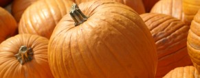 Pumpkin Time!